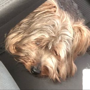 Meet your Posher, Miranda